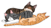 Tired Cat Sticker by ester rossi