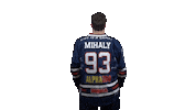 Ice Hockey Sticker by Fehervar AV19