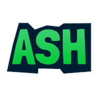 Scout Fnatic Sticker by Loco