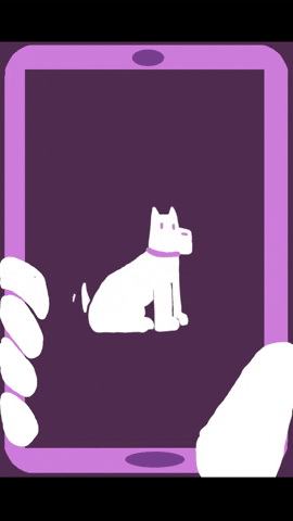 MDXSU giphyupload GIF