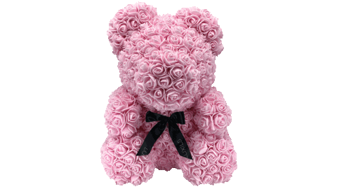 luxils giphyupload hakimerve luxils rosebear Sticker