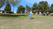 offthejacks dodge charger sports car muscle cars GIF