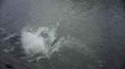 rising music video GIF by Peter Bjorn and John