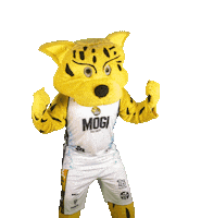 Basketball Jagua Sticker by Mogi Basquete