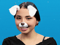 Youtube Dog GIF by twitterperlen_de