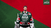 Del Aev GIF by Augsburger Panther Eishockey GmbH
