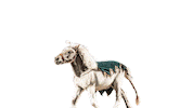 charge on knugget Sticker by UCF Knights
