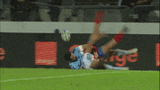 ball try GIF by FCG Rugby