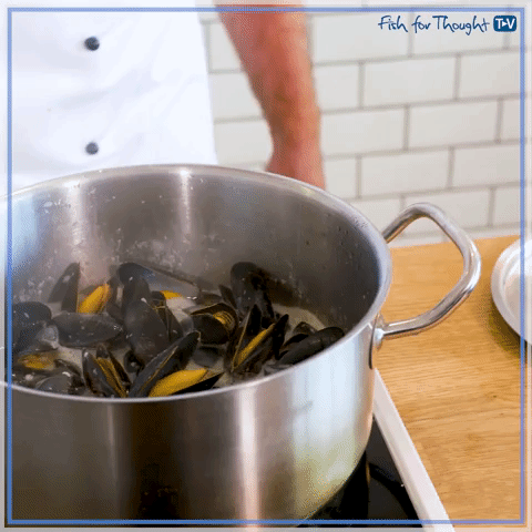 mussels fishforthoughttv GIF