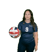 Womens Volleyball Sticker by Clarke University