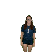 Womens Volleyball Sticker by Clarke University