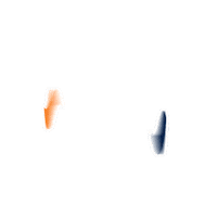 Shrimp Nordeste Sticker by Rio Nort Pescados