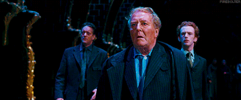 harry potter and the order of the phoenix GIF