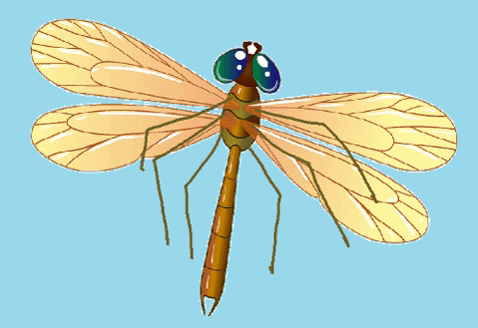 vasilikimalea giphygifmaker GIF