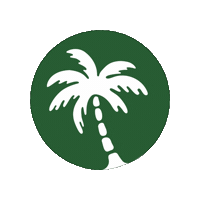 CasenKasNL vegan groen zon kroket Sticker