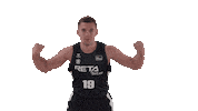 Vamos Liga Endesa Sticker by ACB
