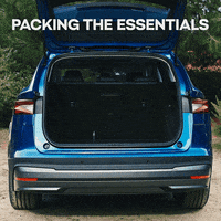 skodaglobal trip full bags road trip GIF