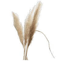 Boho Grass Sticker by zartmintdesign