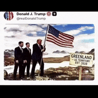 Polar Bear Trump GIF by Respective