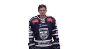 Celebration Goal Sticker by Fehervar AV19