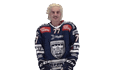 Celebration Goal Sticker by Fehervar AV19