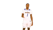 Kevin Anderson Smile Sticker by Delaware Blue Hens