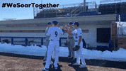 CUWBaseball cuw cuwfalcons cuwbaseball cuw baseball GIF