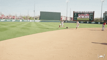 Celebrate Walk Off GIF by Arkansas Razorbacks