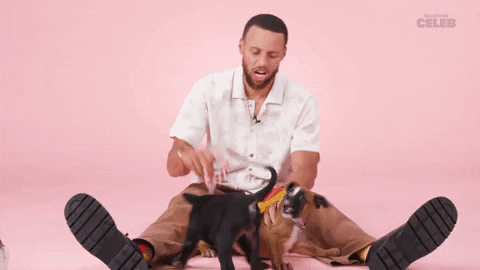 Stephen Curry Basketball GIF by BuzzFeed