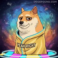 Sarcastic Shiba Inu GIF by Doge Pound