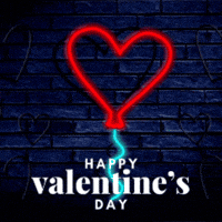 Valentines Day Valentine GIF