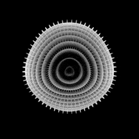 VolatileVoltaire white blob white pattern animated blob GIF