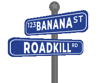 Banana Roadkill Sticker by Glennda Baker