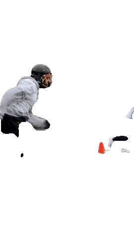 duesseldorfpanther giphyupload football running practice Sticker