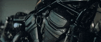 H-D Sport GIF by Harley-Davidson