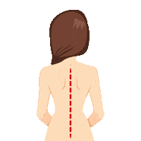 Voll Pilates Sticker by Grupo VOLL