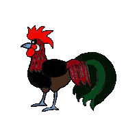 Rooster Chickens Sticker