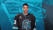 San Jose Hockey GIF by San Jose Barracuda