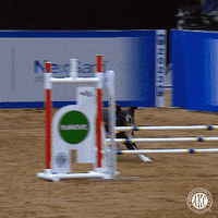 Espn Sport GIF by American Kennel Club