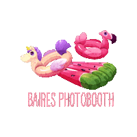 Wedding Photography Sticker by Baires Photobooth