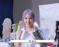 Punch GIF