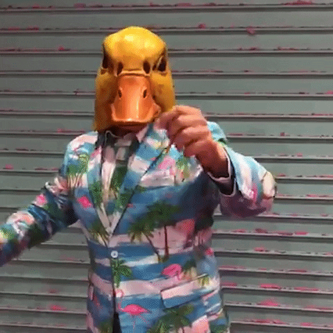ingo-ohne-flamingo giphyupload weekend you party time GIF