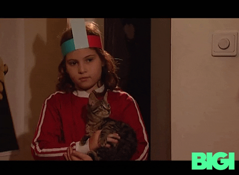Cat Kitty GIF by BIGI_TV
