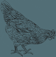 GIF by Weston Table