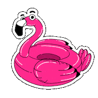 flashapp flash flamingo boia mingo Sticker