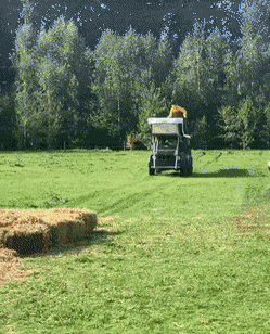 giffunme giphyupload GIF