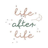 Stars Vida Sticker by Pleia Life