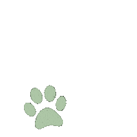 PleiaLife stars pets estrellas petloss Sticker