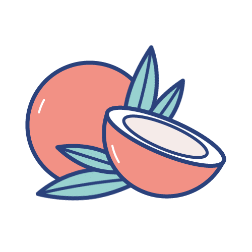 Madyetmoi giphyupload coconut noix de coco madyetmoi Sticker