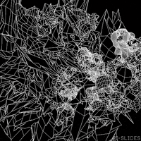 pislices loop glitch 3d trippy GIF